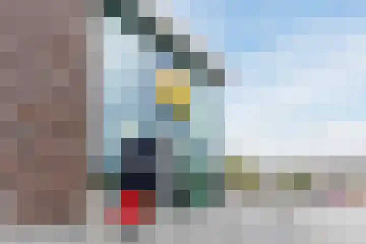 Wede 35 Geldrop thumbnail 55