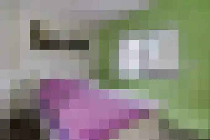 Weden 48 Emmen thumbnail 24