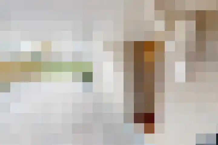 Weder 18 Midwoud thumbnail 10