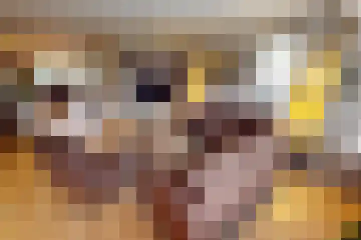 Weder 18 Midwoud thumbnail 18
