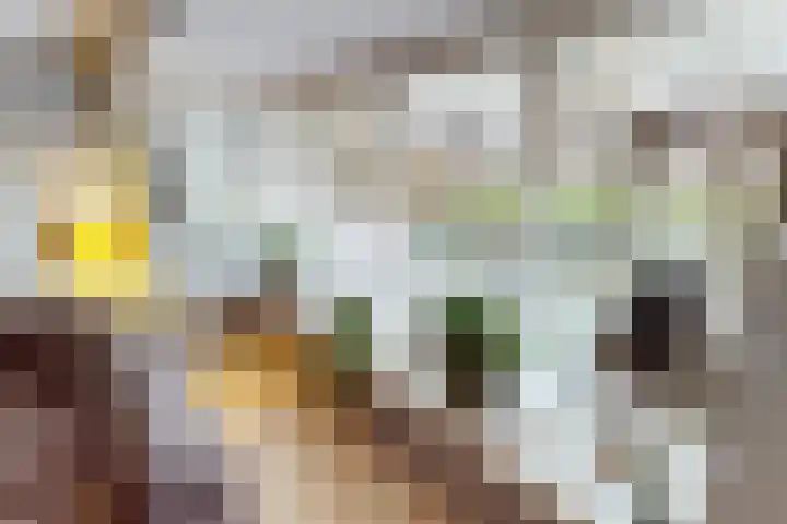 Weder 18 Midwoud thumbnail 19