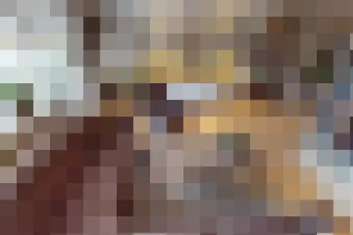 Weder 18 Midwoud thumbnail 21