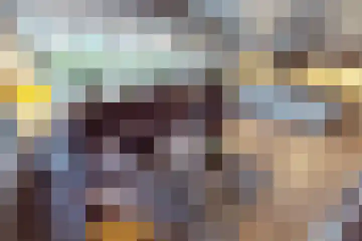 Weder 18 Midwoud thumbnail 22