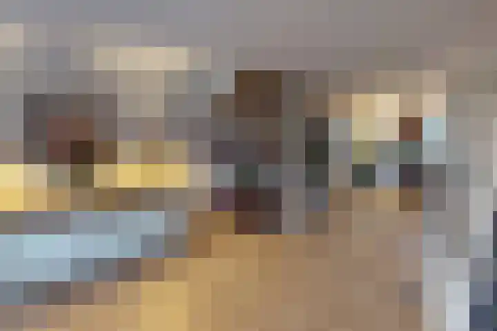Weder 18 Midwoud thumbnail 23