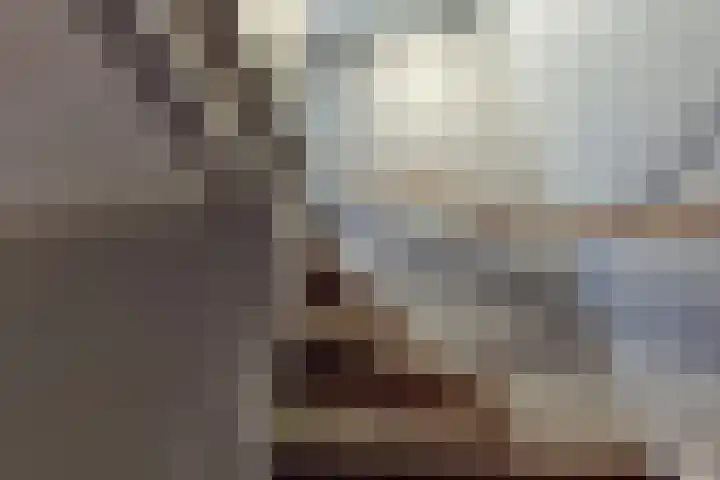 Weder 18 Midwoud thumbnail 38