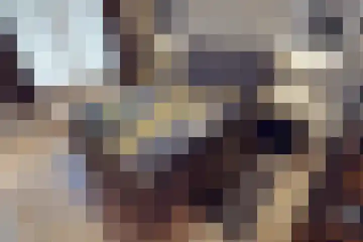 Weder 18 Midwoud thumbnail 40