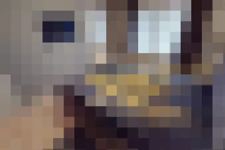 Weder 18 Midwoud thumbnail 41