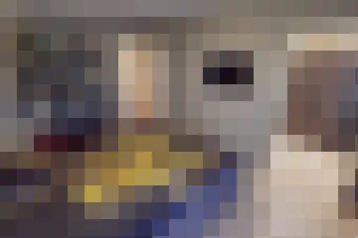 Weder 18 Midwoud thumbnail 42