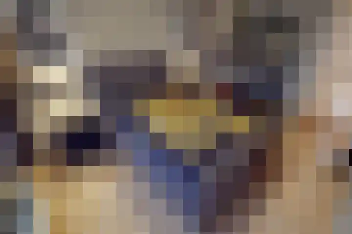Weder 18 Midwoud thumbnail 43