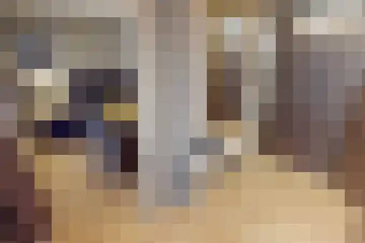Weder 18 Midwoud thumbnail 44