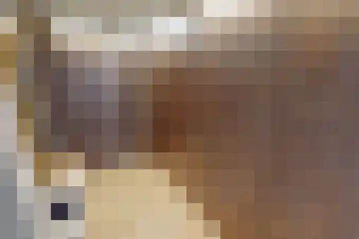 Weder 18 Midwoud thumbnail 45