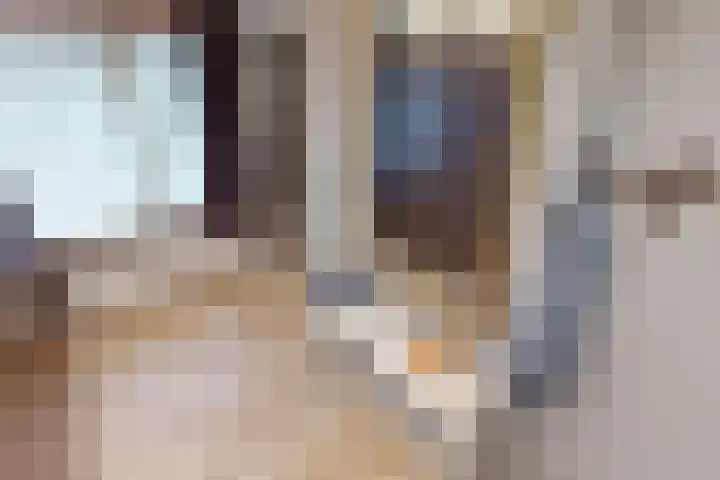 Weder 18 Midwoud thumbnail 46