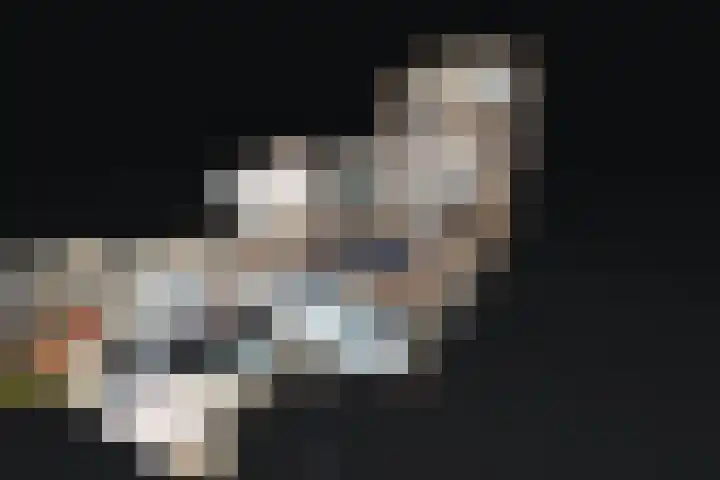 Weder 18 Midwoud thumbnail 72