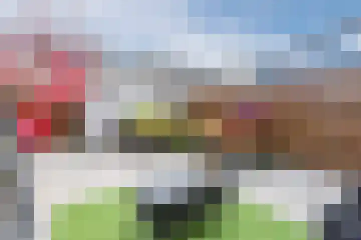 Wederik 110 Uithoorn thumbnail 23
