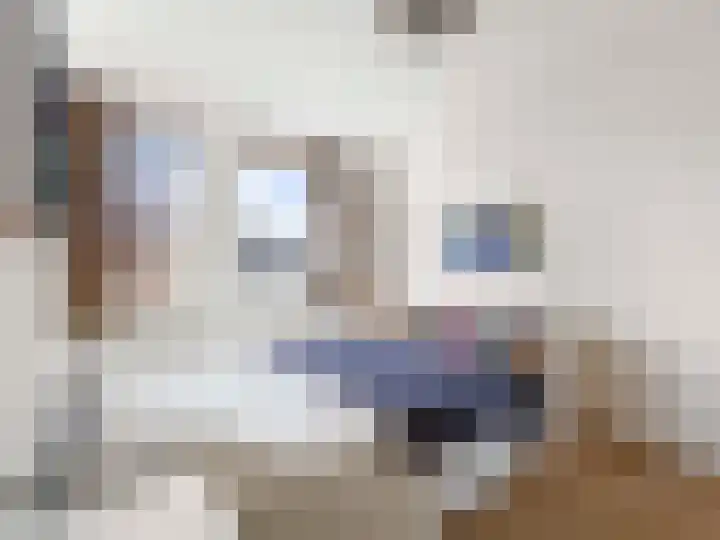 Wederik 12 Kockengen thumbnail 16