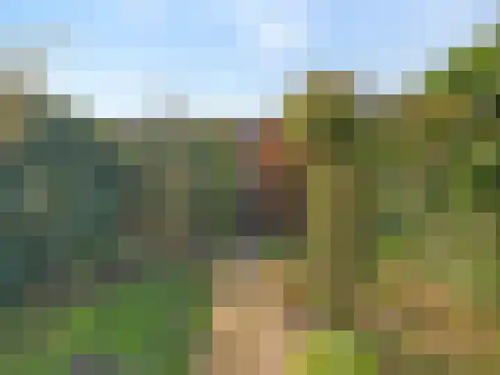 Wederik 12 Kockengen thumbnail 26