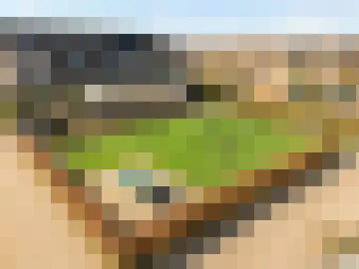 Wederik 12 Kockengen thumbnail 30