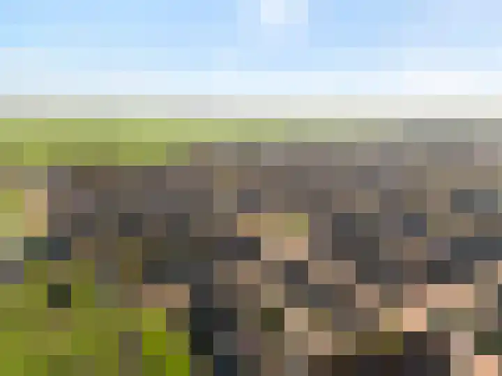 Wederik 12 Kockengen thumbnail 32