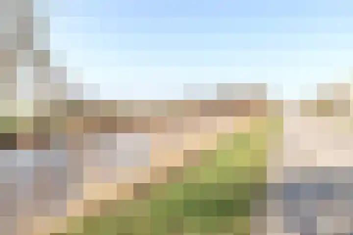 Wederik 16 Zuidhorn thumbnail 4
