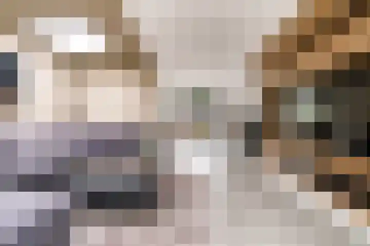 Wederik 6 Zeewolde thumbnail 15