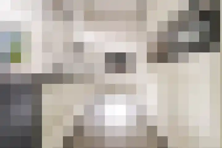 Wederik 6 Zeewolde thumbnail 20