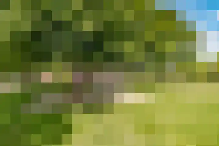 Wederik 6 Zeewolde thumbnail 48