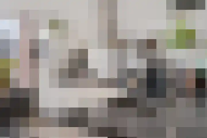 Wederik 70 Heerenveen thumbnail 13