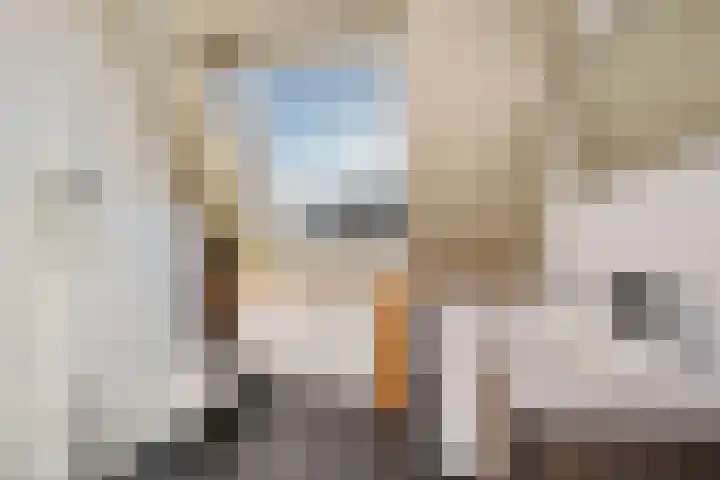 Wederik 70 Heerenveen thumbnail 20