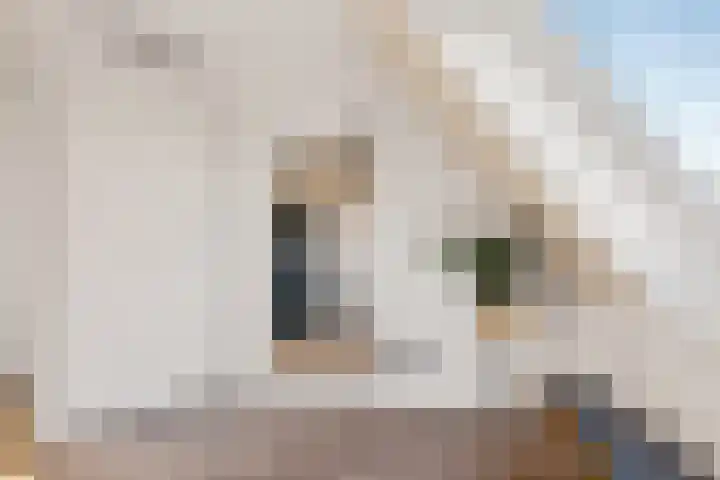 Wederik 70 Heerenveen thumbnail 26