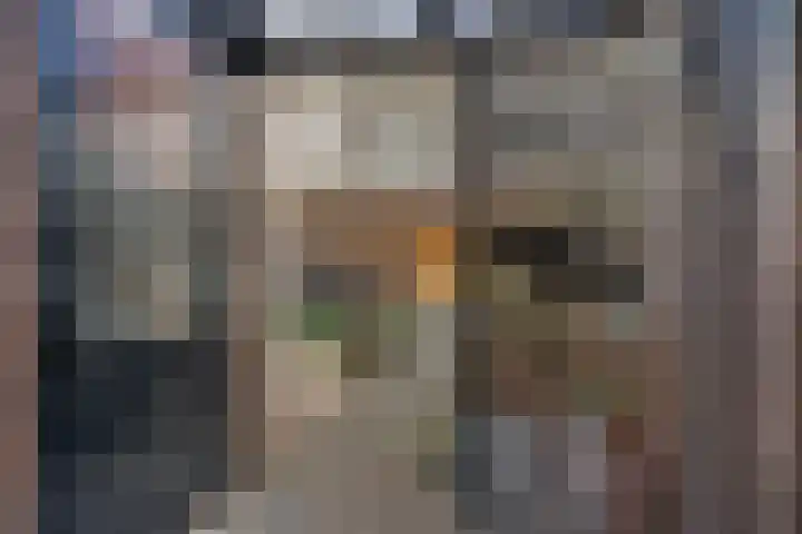 Wederik 70 Heerenveen thumbnail 37