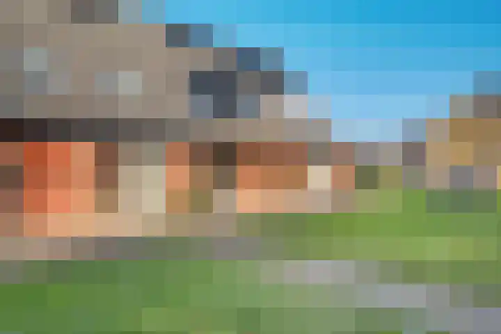 Wederik 70 Heerenveen thumbnail 7