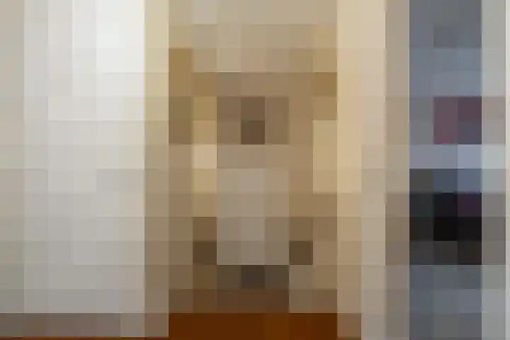 Wederiklaan 20 Enschede thumbnail 11