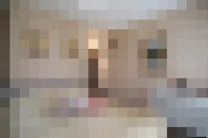 Wederiklaan 20 Enschede thumbnail 26