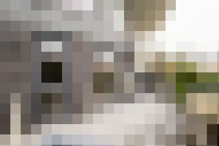 Wederiklaan 20 Enschede thumbnail 32