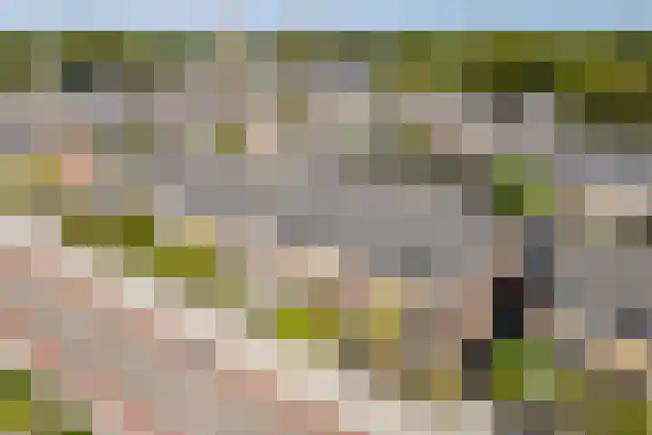 Wederiklaan 45 Kampen thumbnail 10