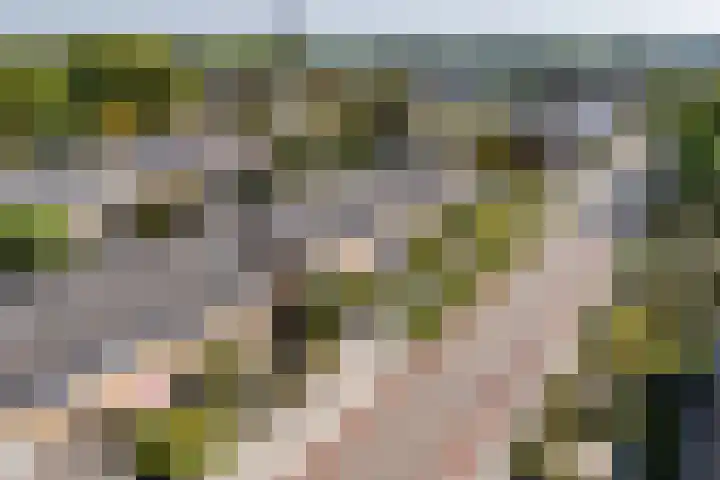 Wederiklaan 45 Kampen thumbnail 12