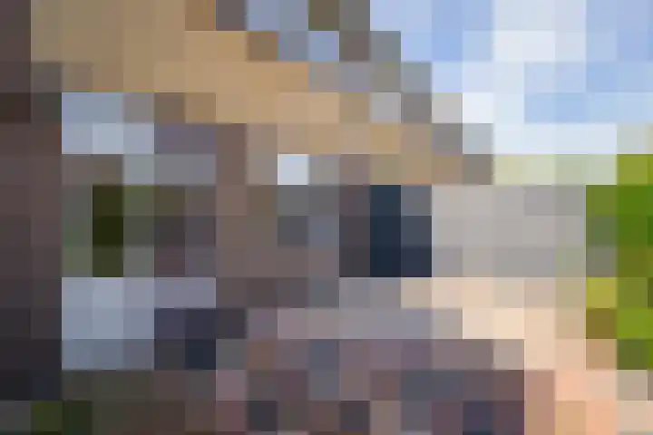 Wederiklaan 45 Kampen thumbnail 34