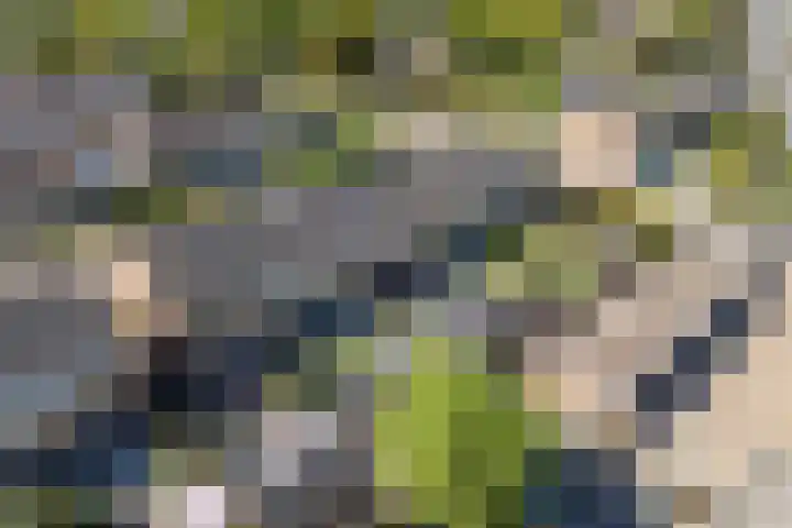 Wederiklaan 45 Kampen thumbnail 64
