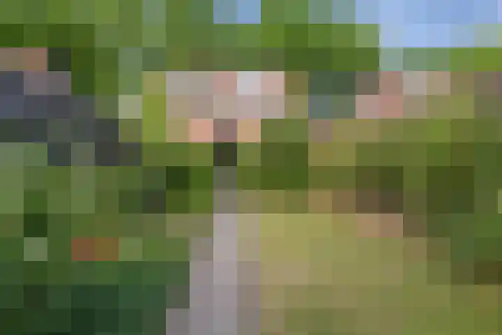 Wederiktuin 29 Breda thumbnail 36