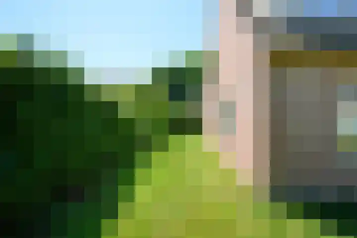 Wedinkerf 40 Eerbeek thumbnail 13