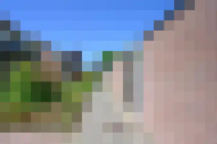 Wedinkerf 40 Eerbeek thumbnail 15