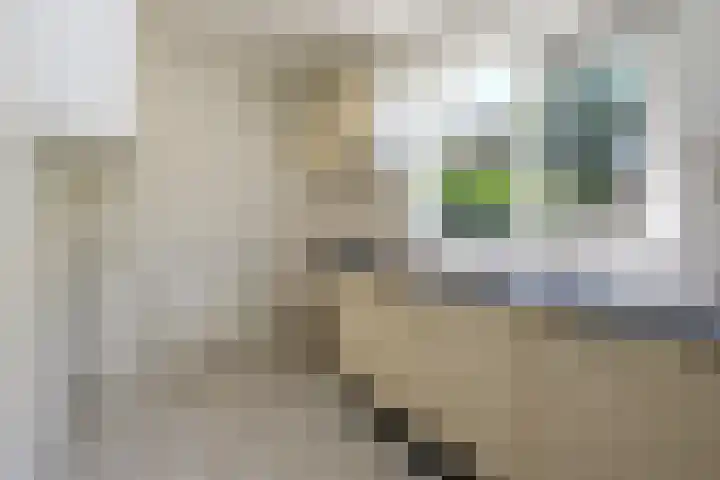 Wedinkerf 40 Eerbeek thumbnail 5