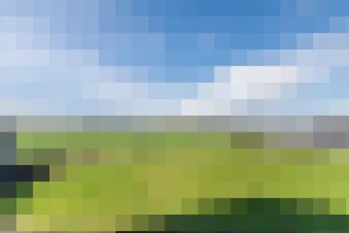 Weebosch 16 Bergeijk thumbnail 43