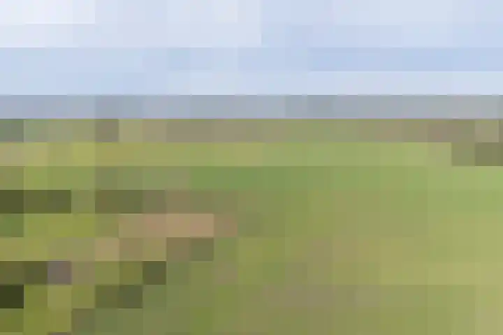 Weebosch 16 Bergeijk thumbnail 44