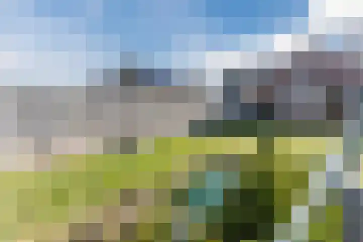 Weebosch 16 Bergeijk thumbnail 46