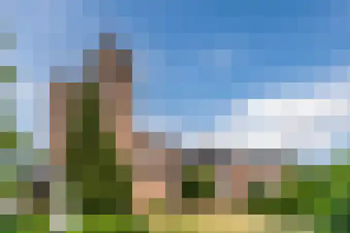 Weebosch 16 Bergeijk thumbnail 56