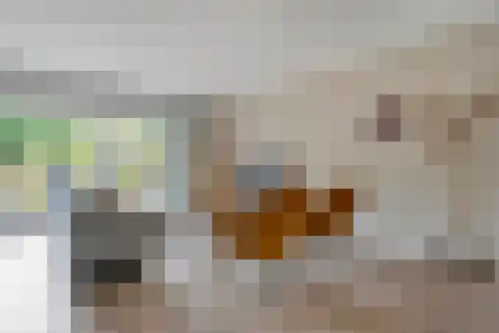Weefgetouw 39 Almelo thumbnail 10