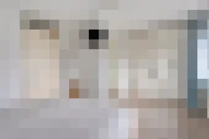 Weefgetouw 39 Almelo thumbnail 22