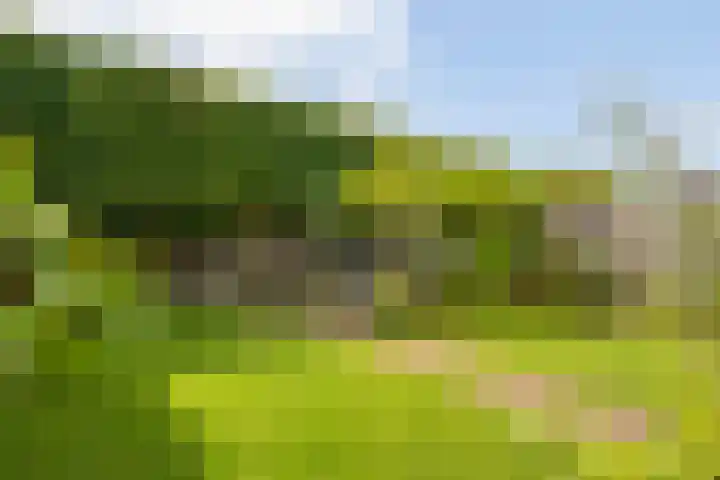 Weefgetouw 39 Almelo thumbnail 33