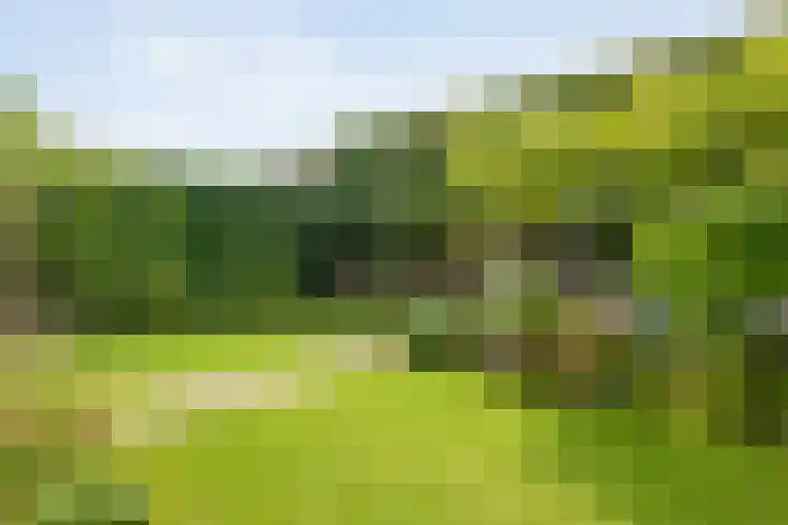 Weefgetouw 39 Almelo thumbnail 34